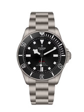 Tudor Pelagos 39mm Titanium Watch Ref 25407N