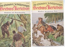Die Schönsten Schilderungen