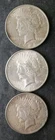 Lot of Three 1924 $1 Peace Silver Dollars