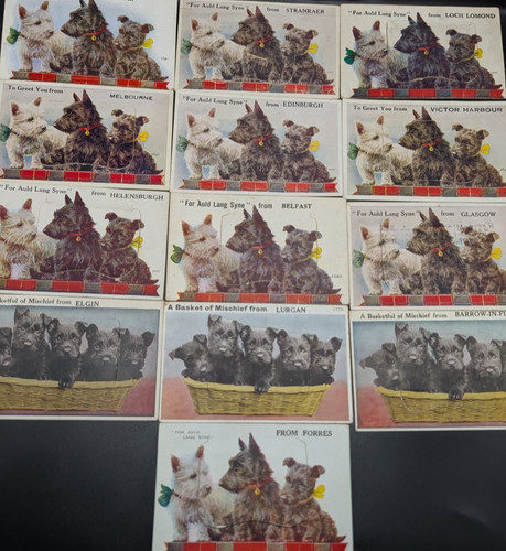 13 Vintage Mailing Novelty Fold Out Scottish Terrier Postcards