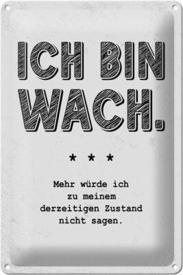 Blechschild Spruch lustig Zustand Ich bin wach 20x30 cm Deko Schild tin sign