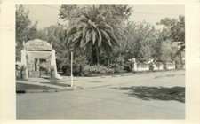 Napa California 1940s Piners Hot Springs RPPC Photo Postcard 21-6414