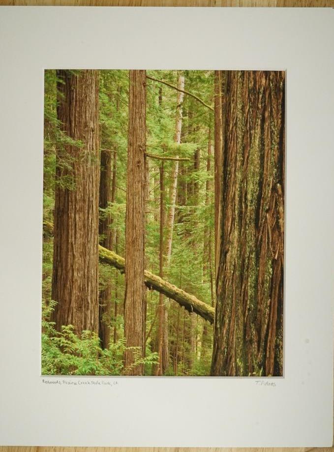 Picture 1 of 4