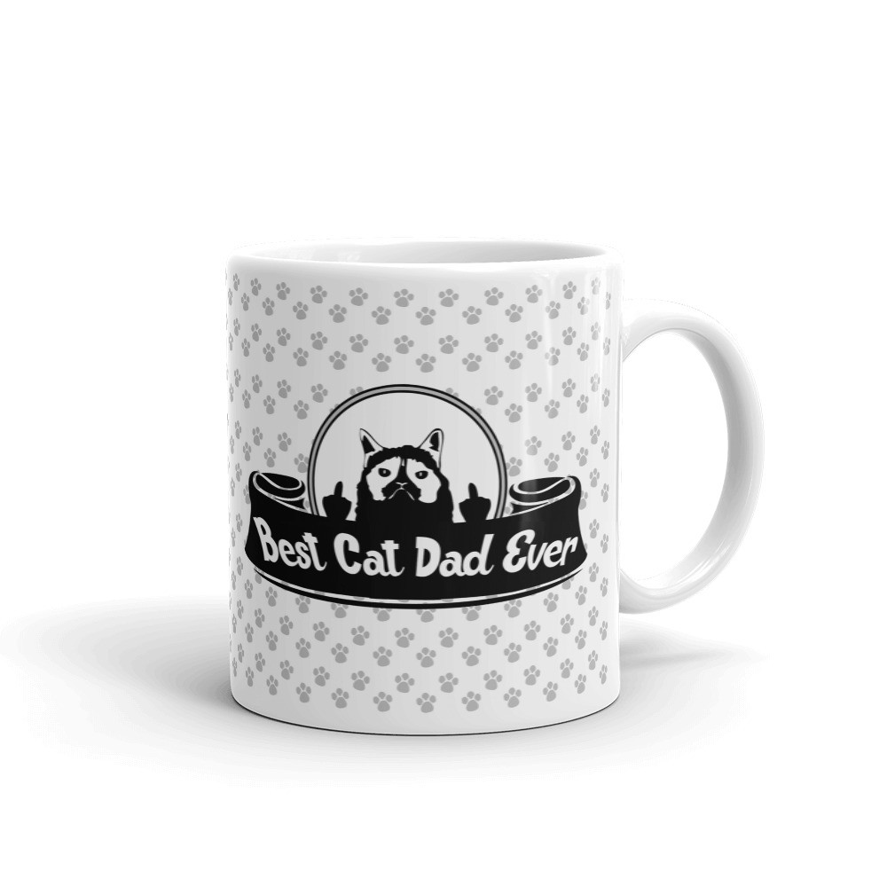 Best Cat Dad Ever Crazy Funny Coffee Tea Ceramic Mug Office Work Cup Gift
