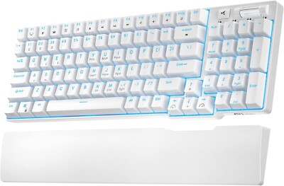 RK ROYAL KLUDGE RK96 90% BT5.0/2.4G/USB-C Mechanical Keyboard, Blue Backlight