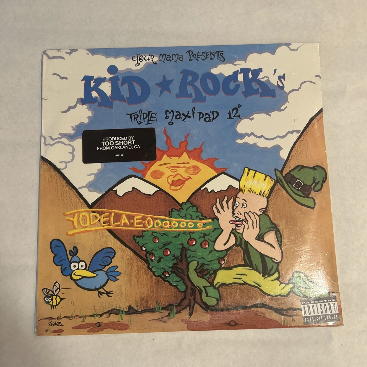 Kid Rock 12