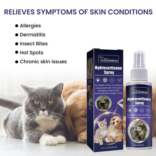 Vaporisateur hydrocortisone neuf spray anti démangeaisons pour animaux de compagnie pour chiens et chats US I9Y0