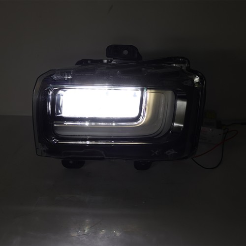 For 2024-25 Ford F150 Left Driver LED Front Bumper Fog Light Driving Lamp W/Bulb - Picture 3 of 11