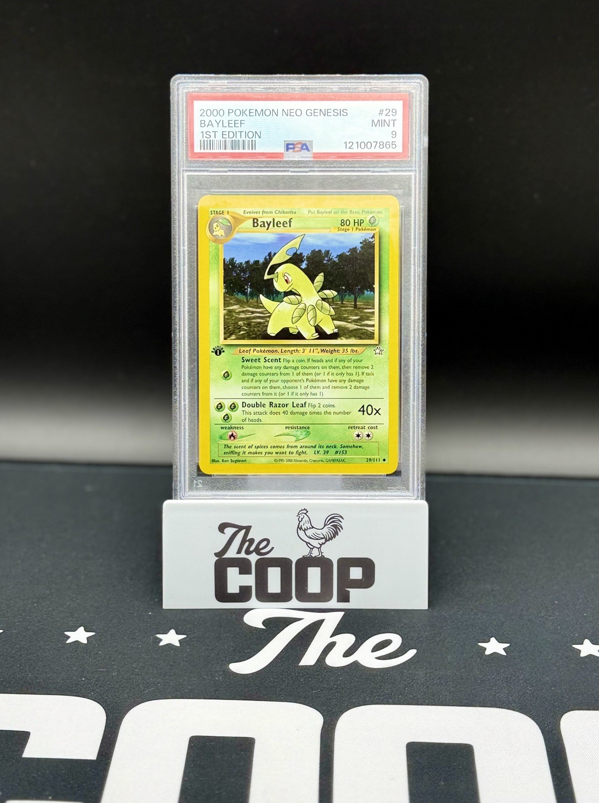 Pokemon Neo Genesis #29 - Bayleef - MINT - 1st Edition - PSA 9 new slab