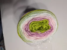 2 Pack - DK Colors 1071-01 Rose Garden Premier Yarns Anti-Pilling discontinued