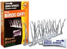 Narrow Bird Spikes Bird-X Plastic Polycarbonate Glue Anti Pigeon SP-10-NR