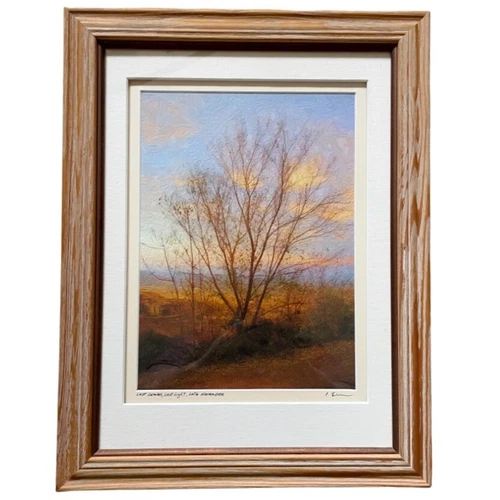 Original Art Painting Framed Fall Tree Landscape Artist Signed Last Leaves 13x17