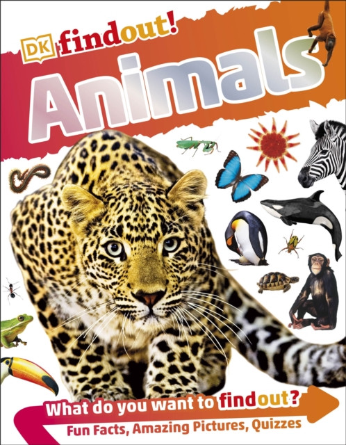 DKfindout! Animals by DK (Paperback Book)