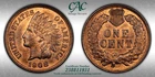 CACG MS-65 RB 1908 Indian Head Cent, Red-Brown Gem w/ High Quality Surfaces!