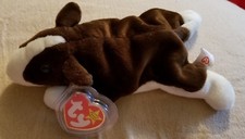 1997 Beanie Baby....Bruno the Dog w/ Ty Tag 