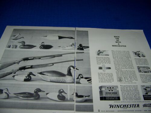 1959 WINCHESTER MODÈLE 12/50 FUSIL DE CHASSE..2 PAGES ANNONCE DE VENTE ORIGINALE (8BB) - Photo 1 sur 2