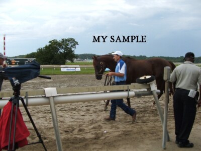 NEW 2019 SMARTY JONES STAKES PHILLY PARK HORSE RACING PHOTO #4 SMARTY DAY EVENT