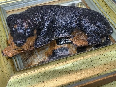 Living Stone Adult Rottweiller Laying