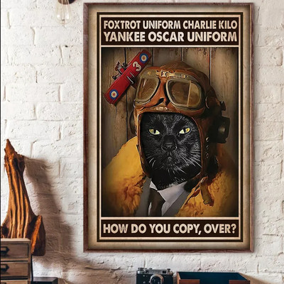 Pilot Cat Foxtrot Uniform Charlie Kilo Yankee Oscar Uniform How Do Copy Poster