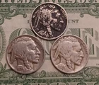 Lot of 3 CULL Buffalo Indian Head Nickel Coins with Full Dates, US Coins!