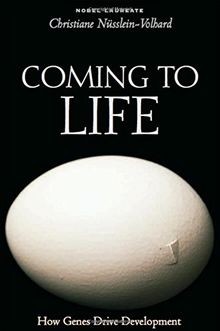 Coming to Life: How Genes Drive Development von Nusslein... | Buch | Zustand gut