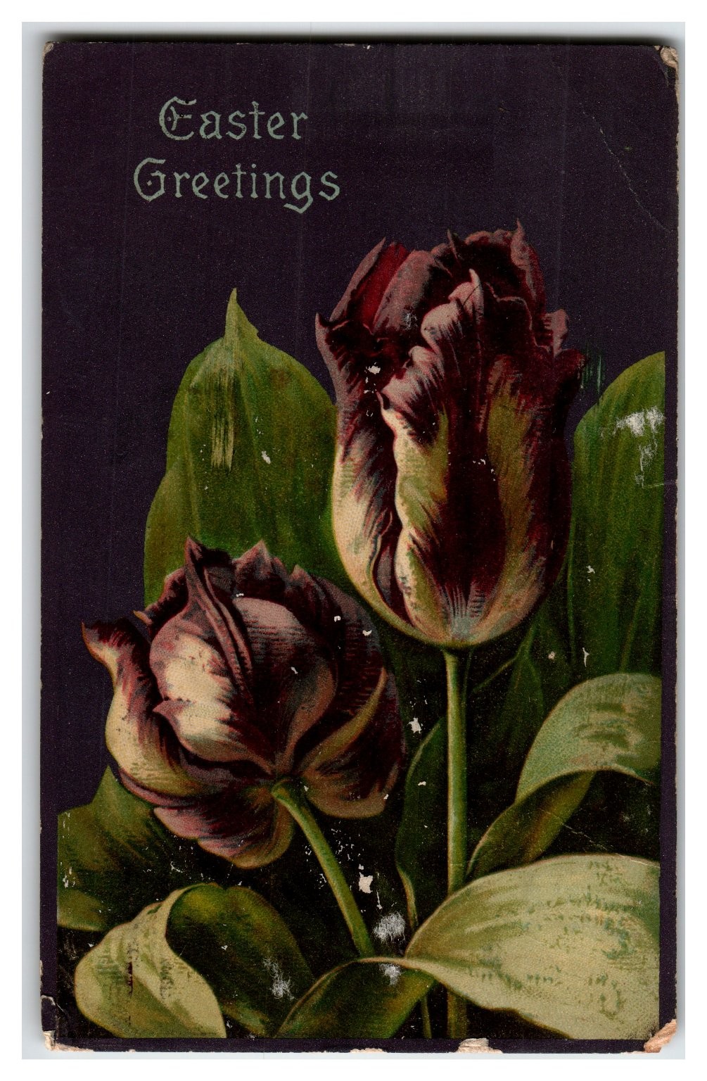 Antique 1908 Raphael Tuck Easter Greetings Black Tulips Postcard