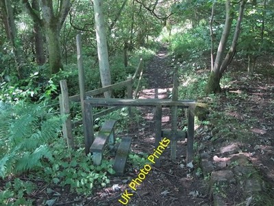 Foto 6x4 Stile mit Hundeumgehung am östlichen Rand von Wardrew Wood Gils c2016