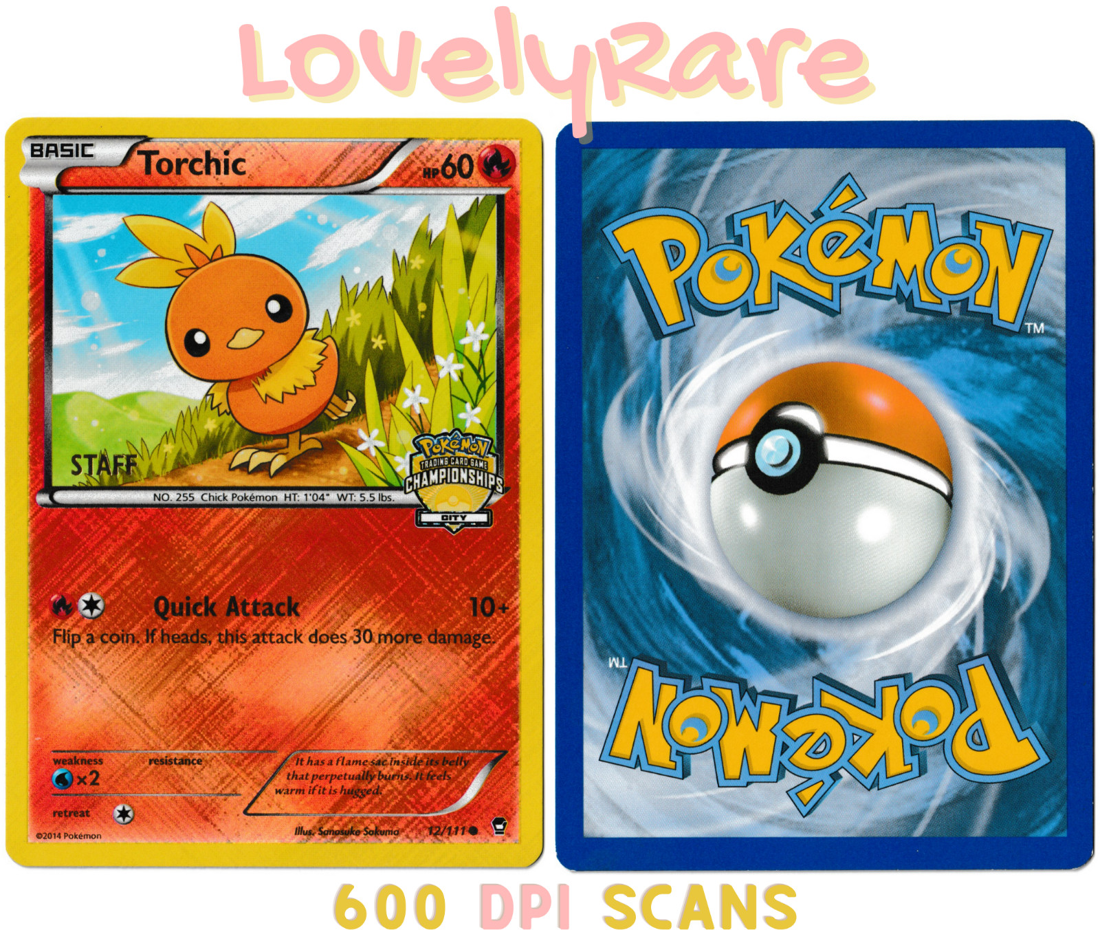 Torchic 12/111 | STAFF Championship Pokemon TCG Card Single | NM