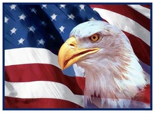 Bald Eagle and an American Flag  Counted Cross Stitch Chart