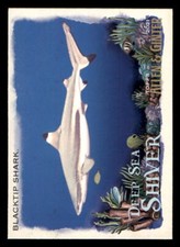 2021 Allen and Ginter Deep Sea Shiver #DSS8 Blacktip Shark (ref 224547)