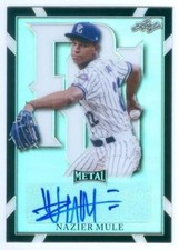 NAZIER MULE 