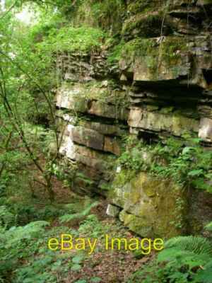 Foto 6x4 stillgelegter Sandsteinbruch neben Nant Melyn Brynamman diese Beete c2009