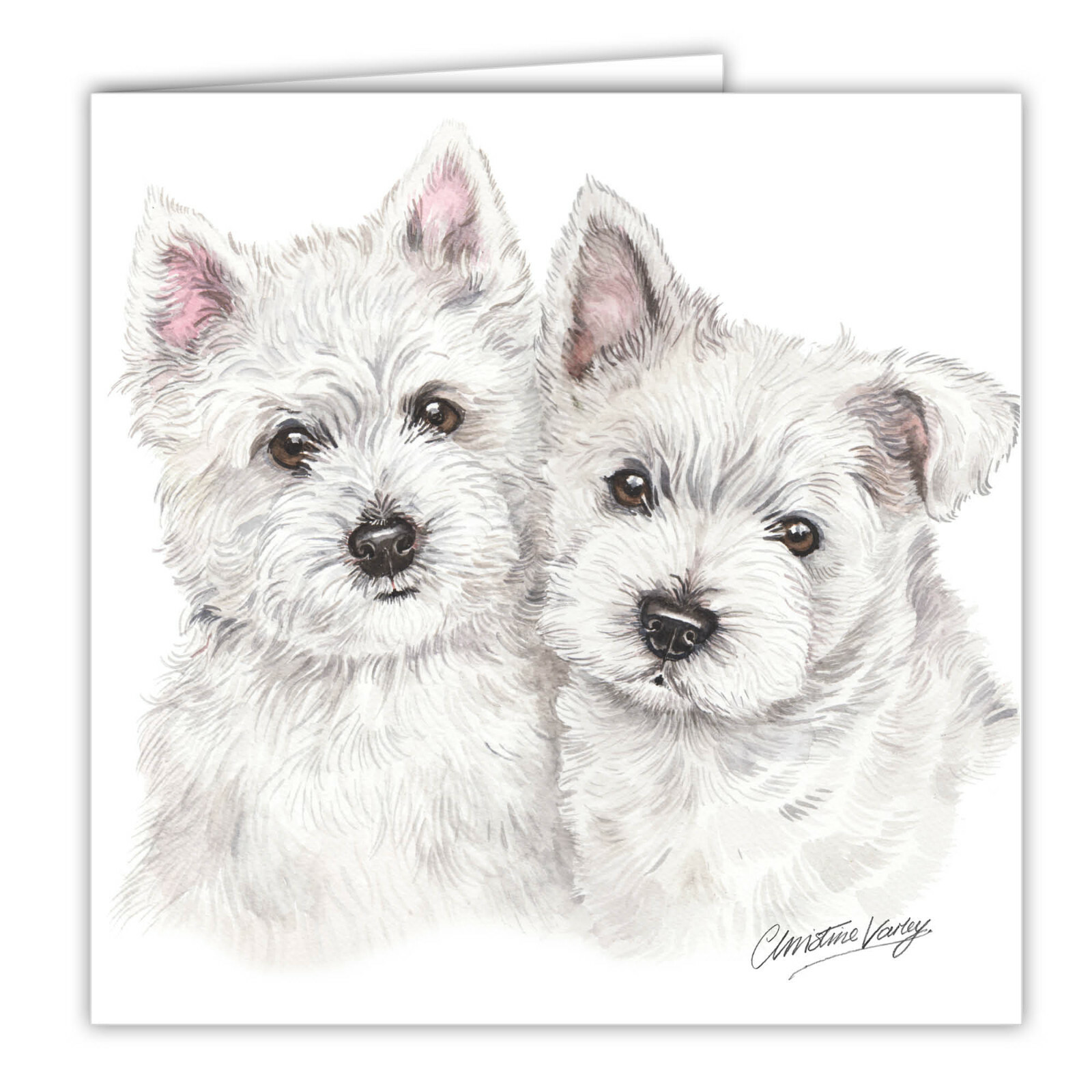 West Highland Terrier Puppies greetings card dog blank card puppy Westie Westies