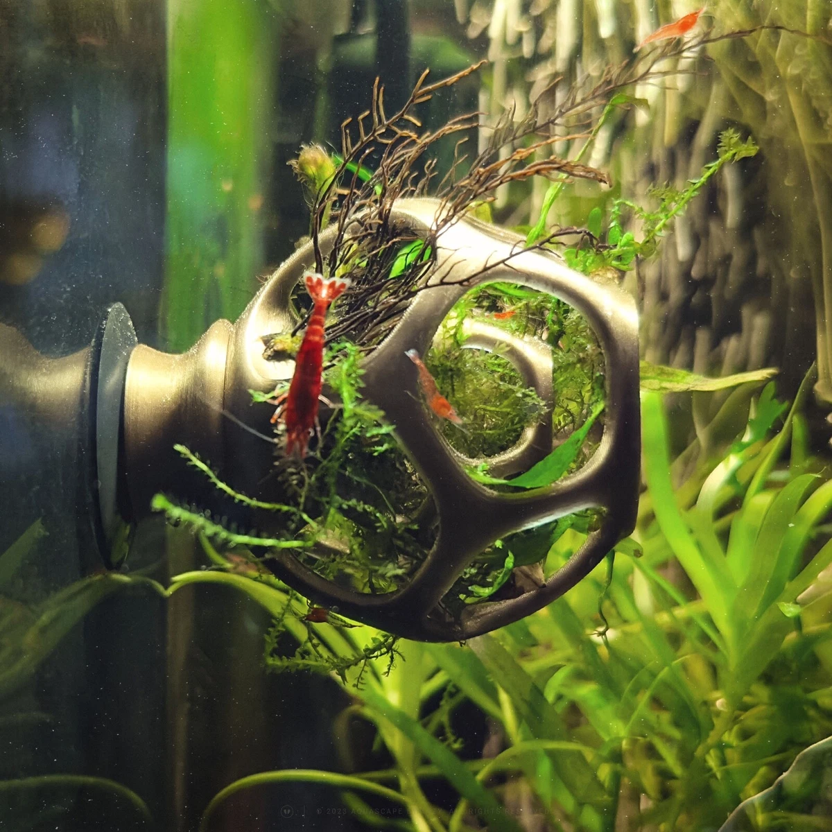 Small Shrimp Hiding House Cave Ornament Fish Tank Decor Aquarium Plant Holder