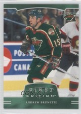 2002-03 ITG Be A Player First Edition Andrew Brunette #219 m5x