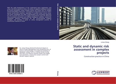 Static and dynamic risk assessment in complex projects Limao Zhang