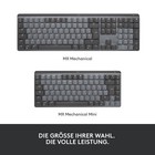 Bild 11 von 12
