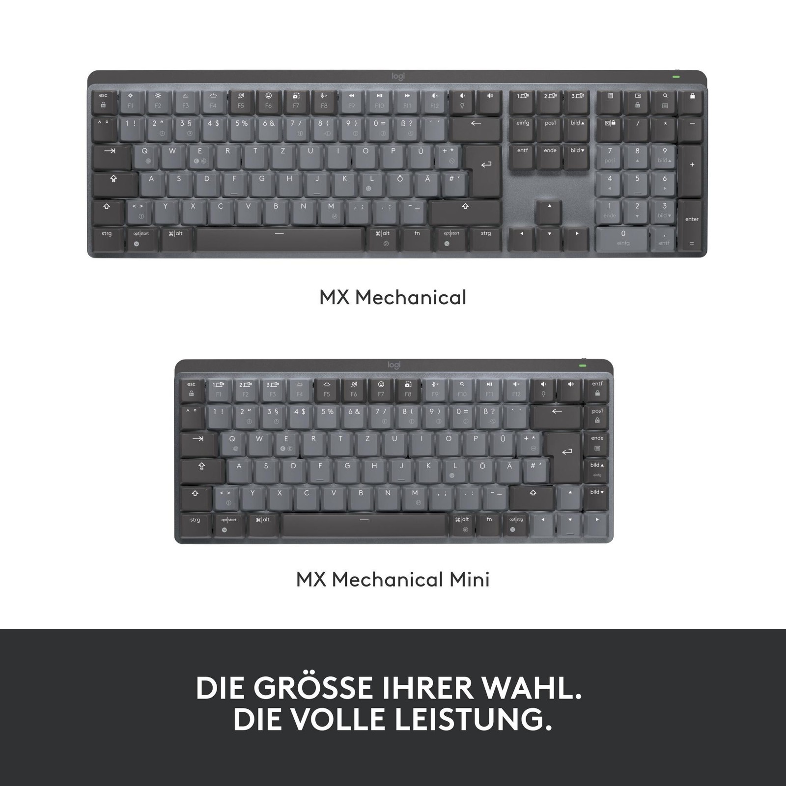 Bild 11 von 12