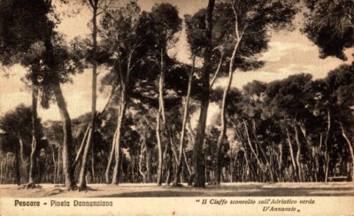 Pescara - Pineta Dannunziana F. small shipped