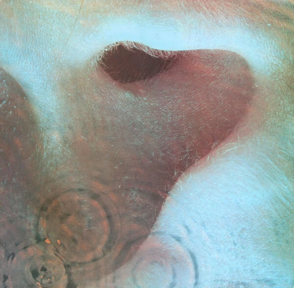 Pink Floyd Meddle Uk Lp for sale | eBay