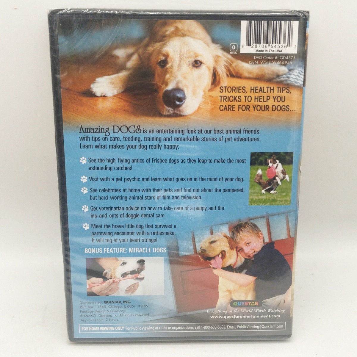 Labrador Nonprofit Diabetic Alert Dogs Nonprofit Diabetic Alert