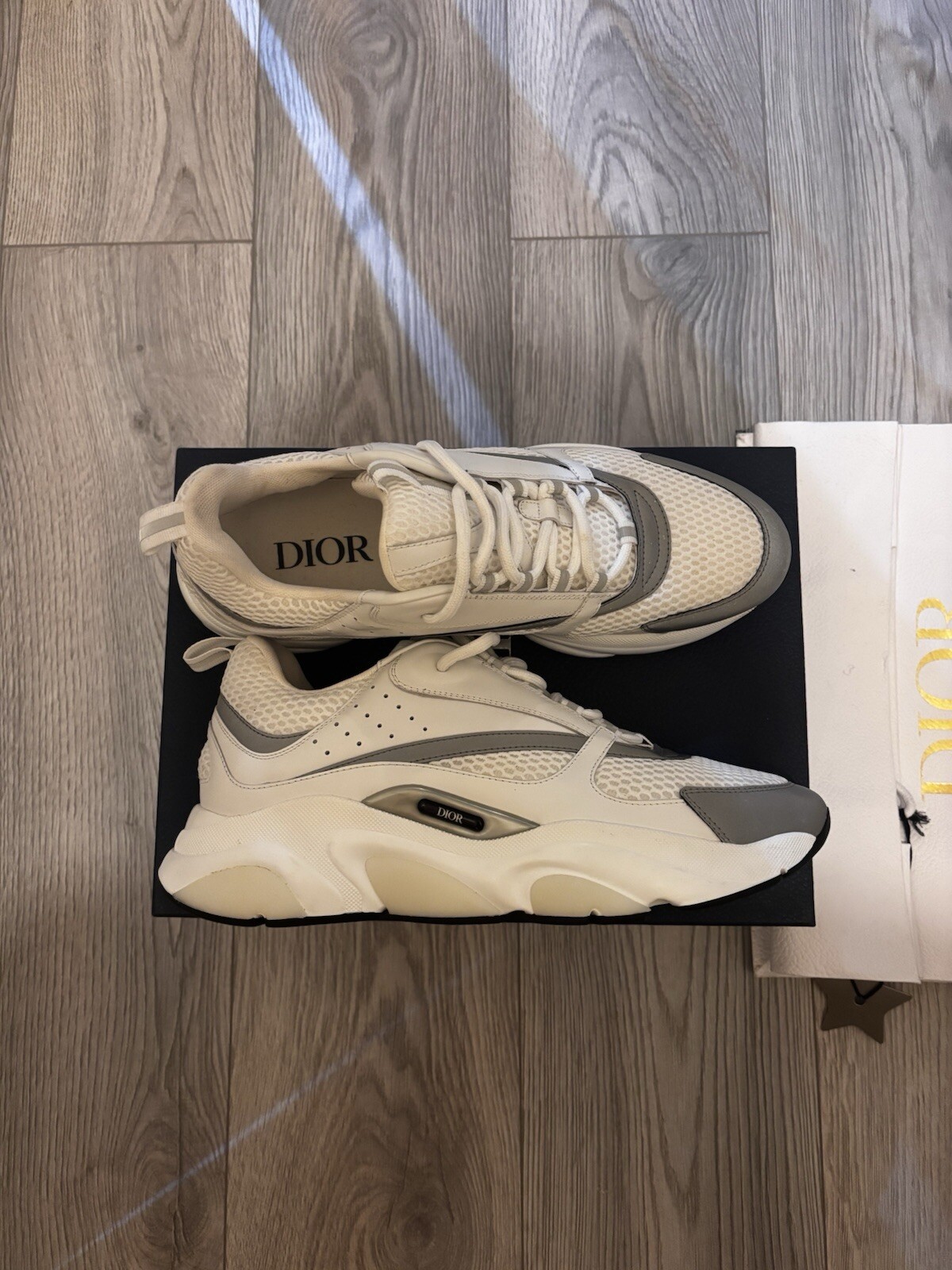 Dior B22 Size 10 - White