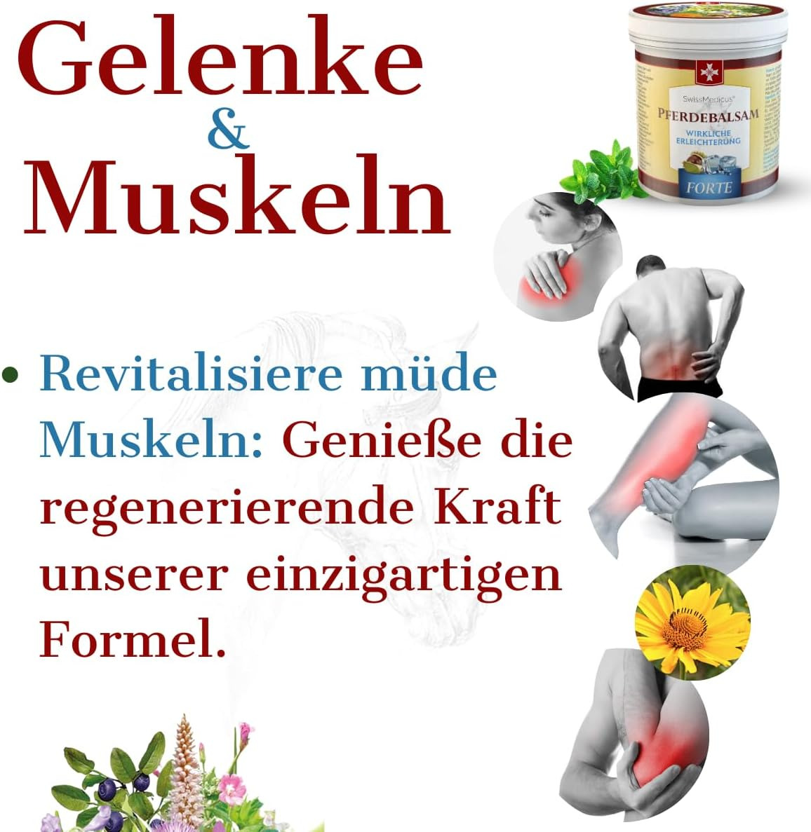 SwissMedicus Pferdebalsam Massage-gel mit 25 Kräuterextrakte (Beinwell, Rosskast