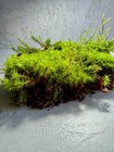 Bild 8 von 10