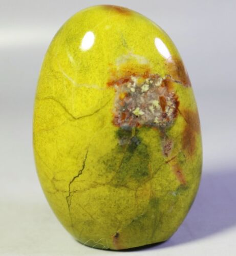 164g natürliches poliertes grünes Opalmuster Quarz Kristall Palme Stein Madagaskar - Bild 9 von 16