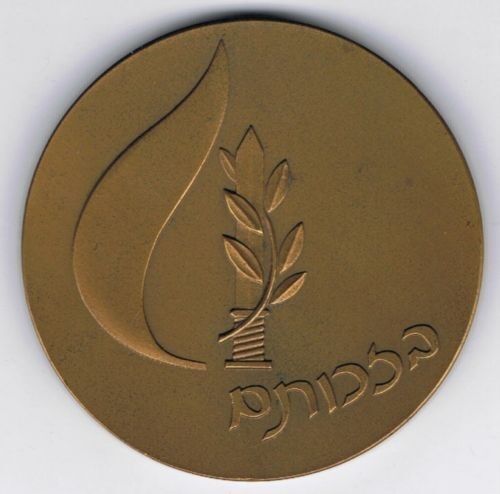 Israel 1995 Memorial Day Award Medal 59mm 98gr Bronze + COA