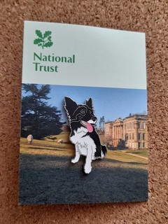 National Trust CALKE ABBEY Collie Dog Charity Pin Badge