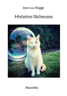 Histoires fcheuses by Jean-Luc Rogge (French) Paperback Book