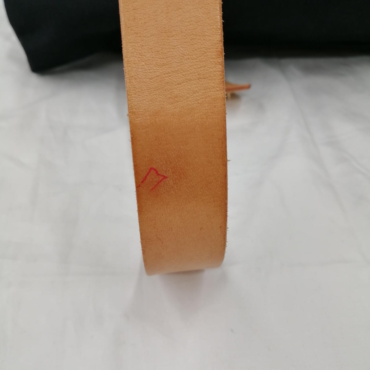 Canvas Backpack Model Strap with Ballpoint Pen Ma… - image 12