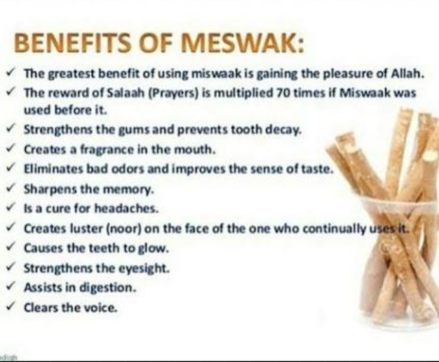 10 Sticks Of Sewak Miswak Natural Toothbrush Hygienic Sealed 